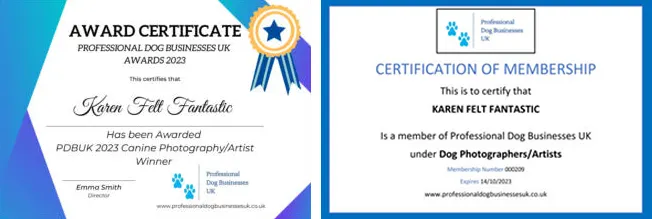Award and Certificate Award and Certificate