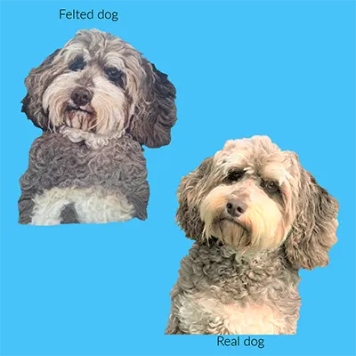 Facebook Post Cid with real and felted dog Felted dog and real dog comparison with blue background.