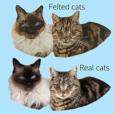 Facebook Post real and felted cats collage Comparison of felted and real cats.